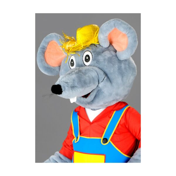 Rat des champs