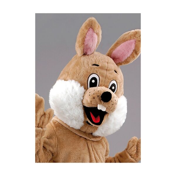 Lapin premier prix brun