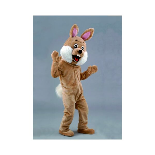 Lapin premier prix brun