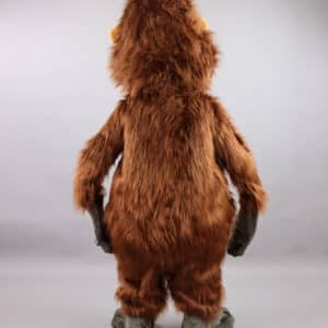 Singe Orang-outan