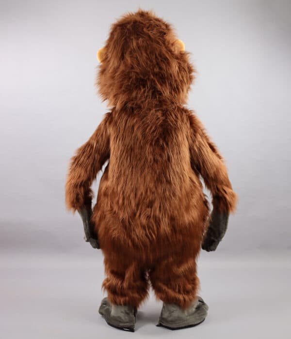 Singe Orang-outan