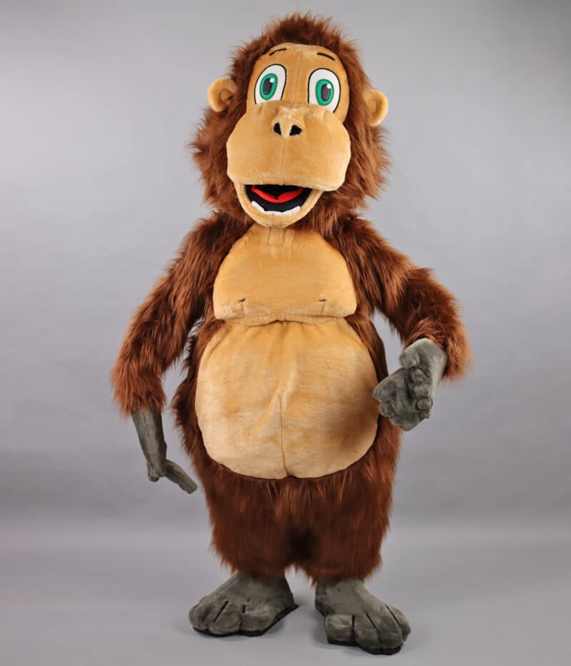 Singe Orang-outan