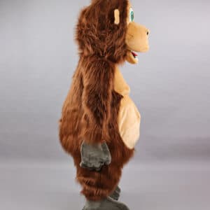 Singe Orang-outan