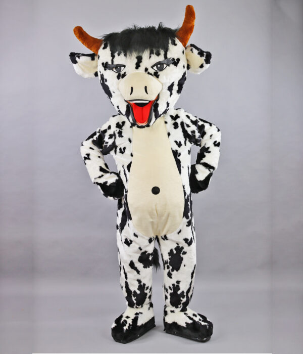 Vache Holstein