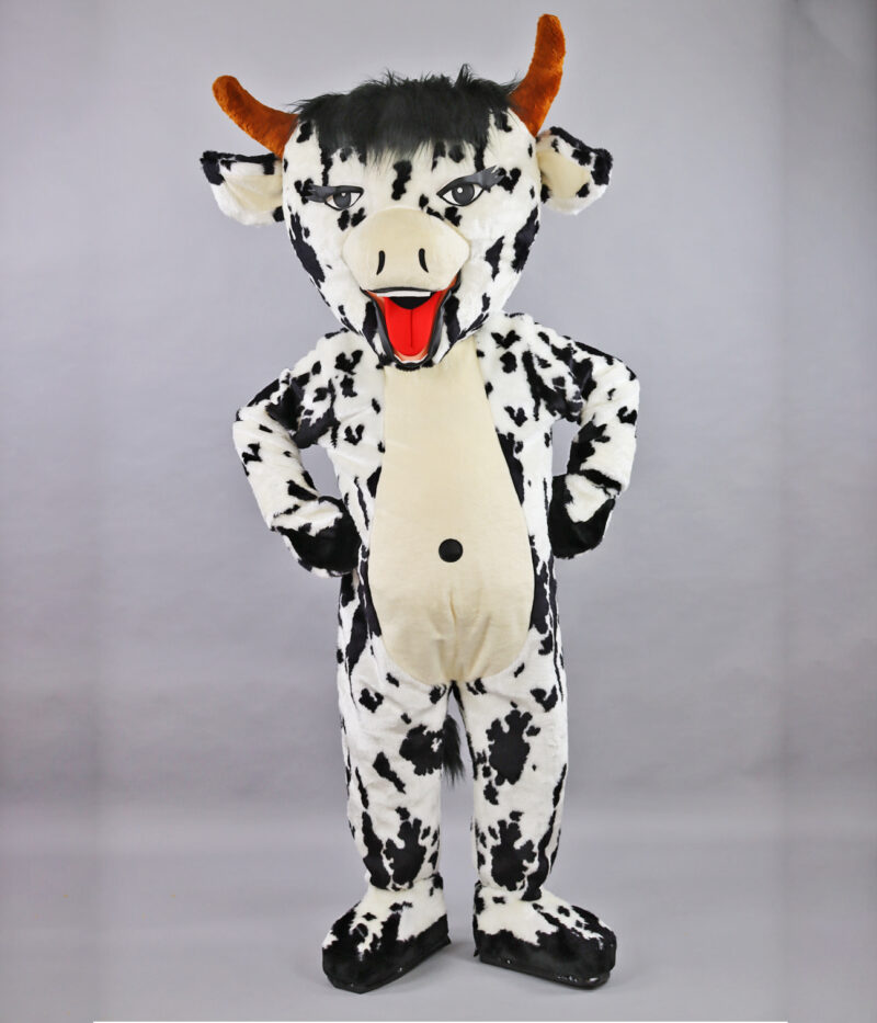Vache Holstein
