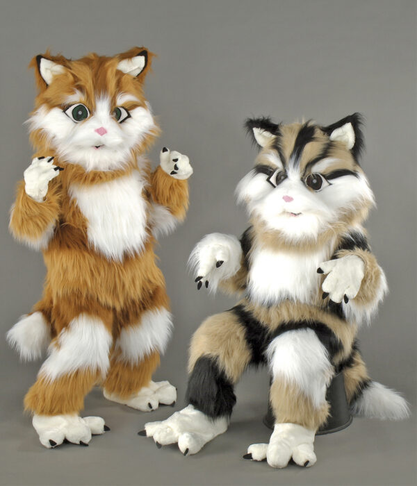 Chat Caramel & Chat Moka