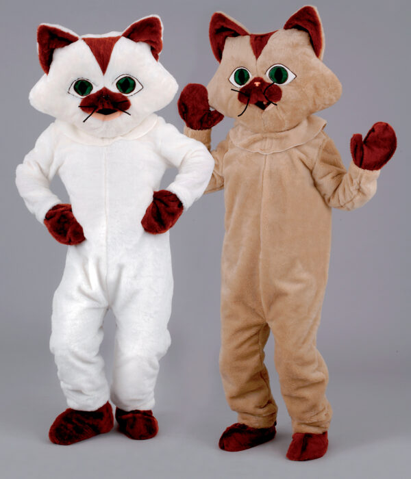 Chat jumeaux blanc & brun