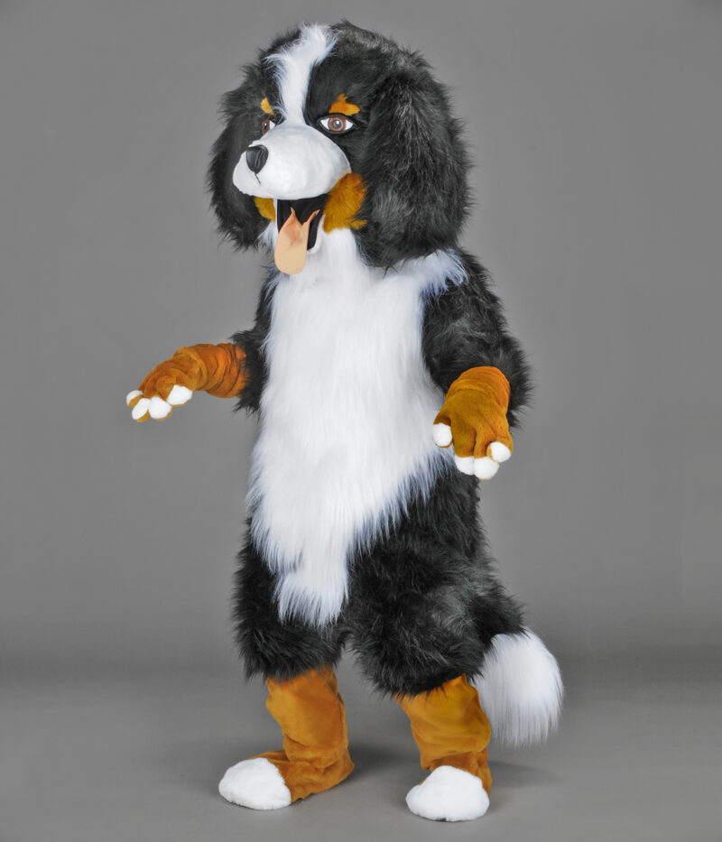 Chien Bouvier Bernois