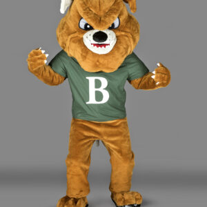 Chien Bulldog Badboy