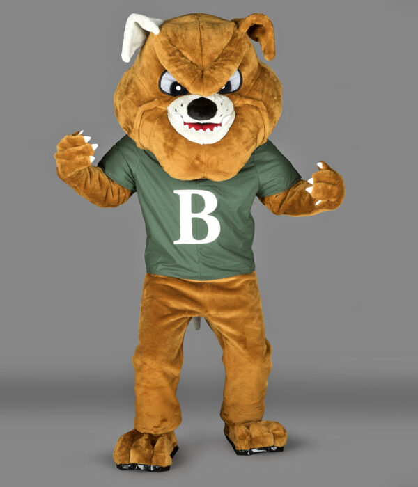 Chien Bulldog Badboy