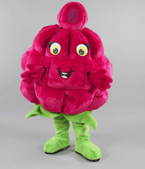 Notre mascotte “Framboise” séduit par sa couleur et son aspect naturel, apportant fraîcheur et gourmandise à tous vos événements.