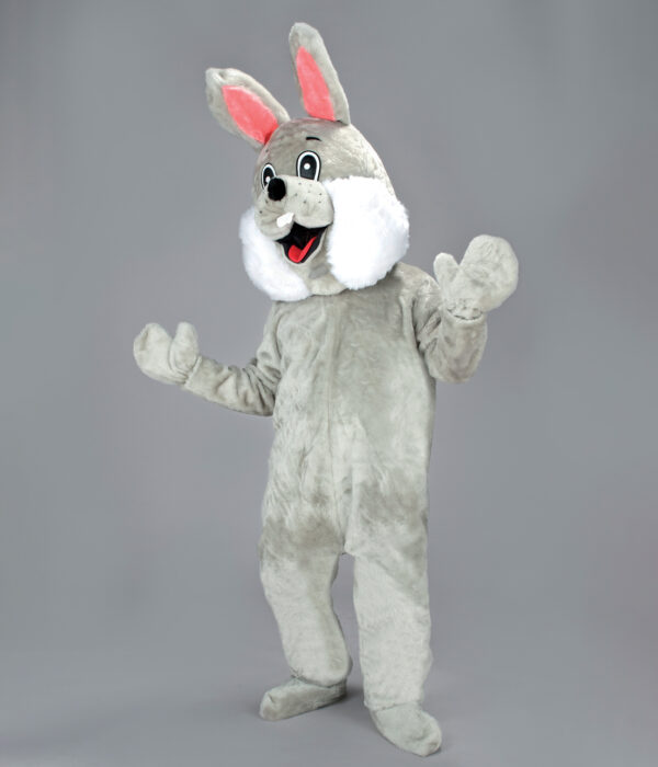 Lapin gris