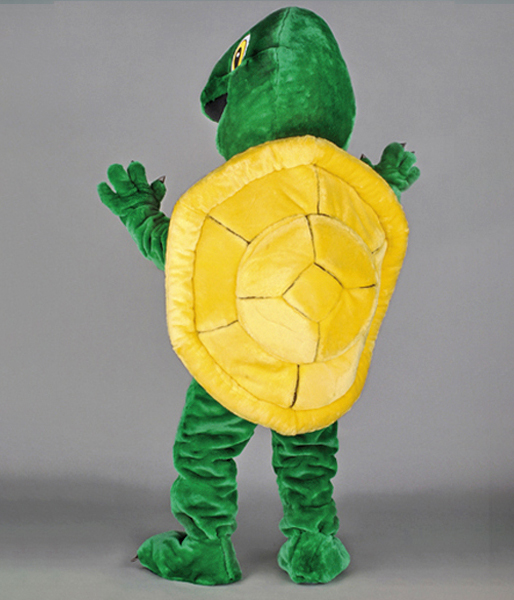 Tortue de dos