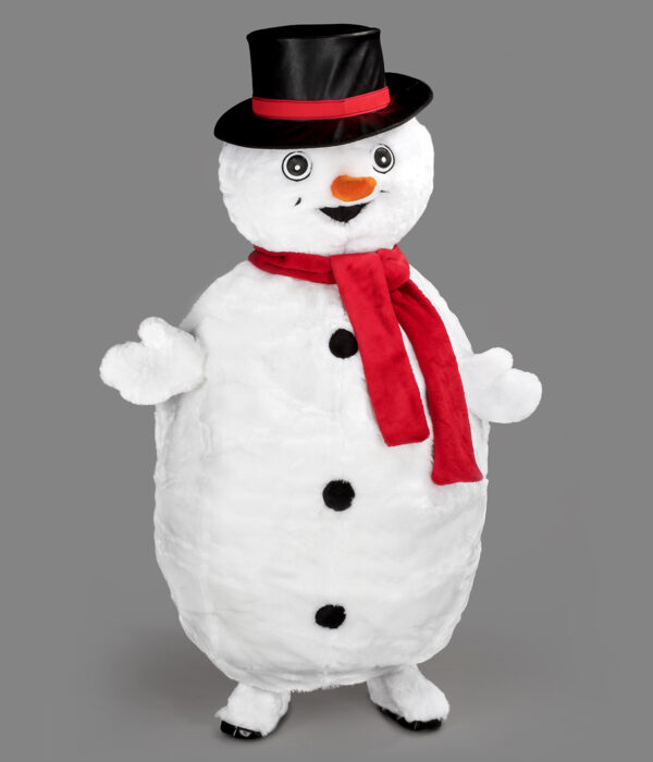 Bonhomme de Neige