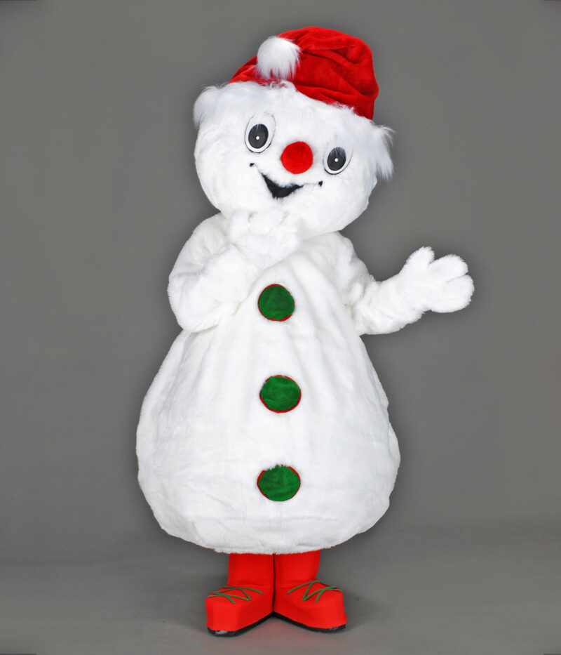 Bonhomme de Neige de Noël