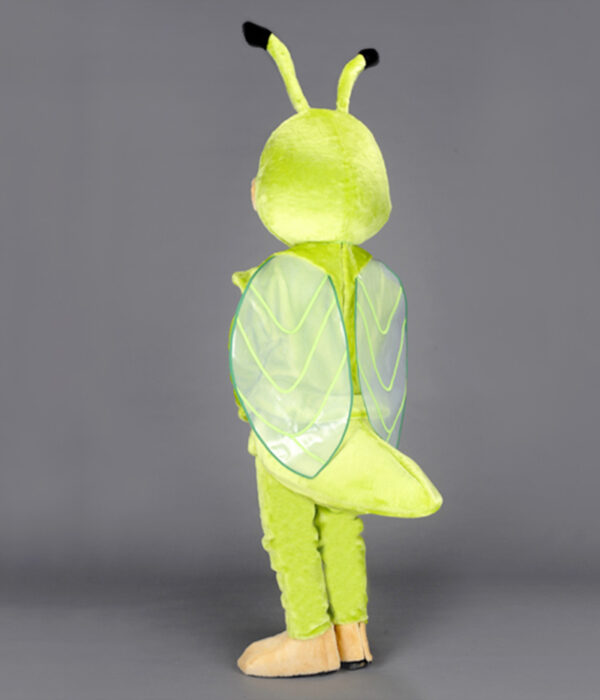 Cigale Joyeuse verte dos