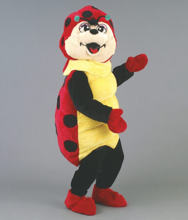 Coccinelle Charmante