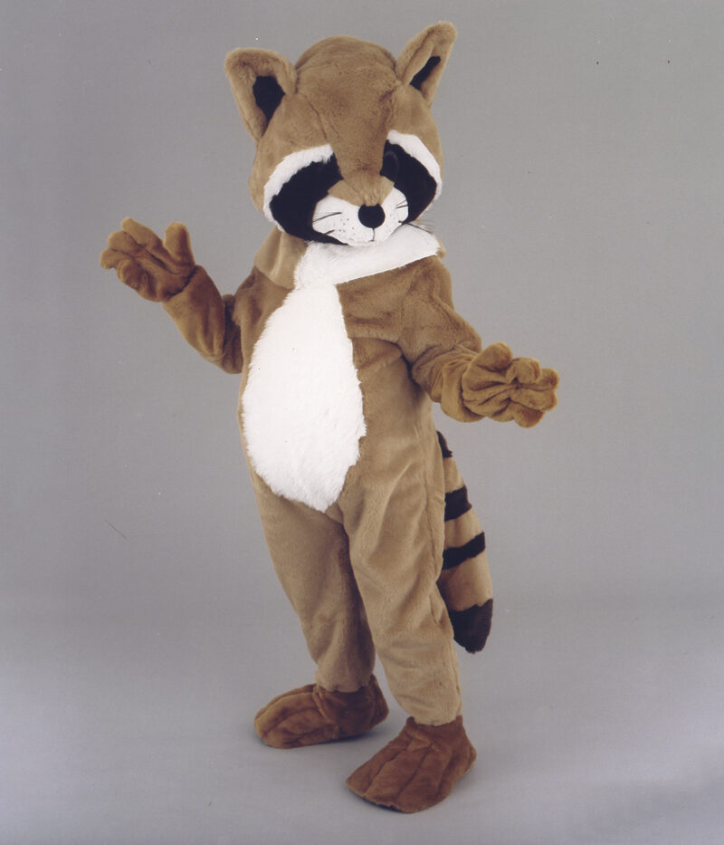 Raton Laveur des Forêts