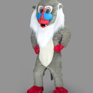 Singe Mandrill