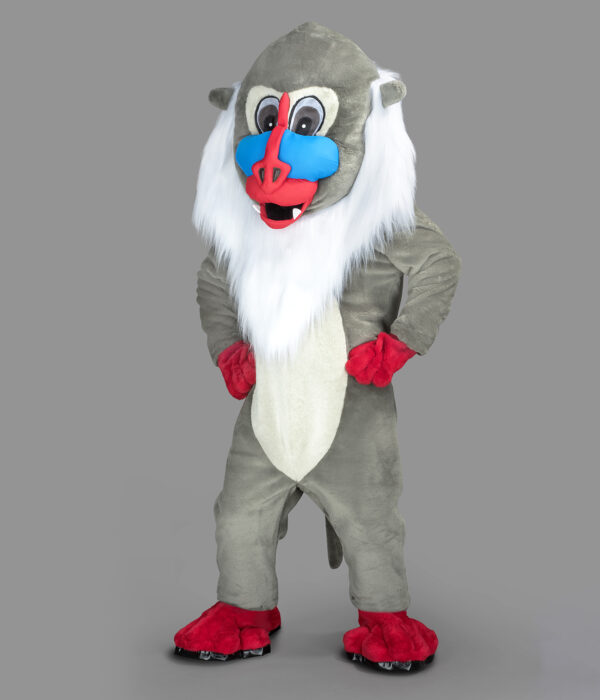 Singe Mandrill