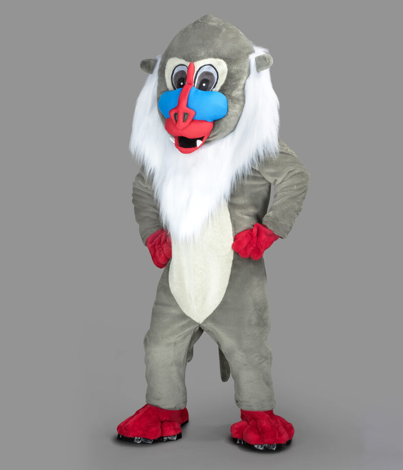 Singe Mandrill