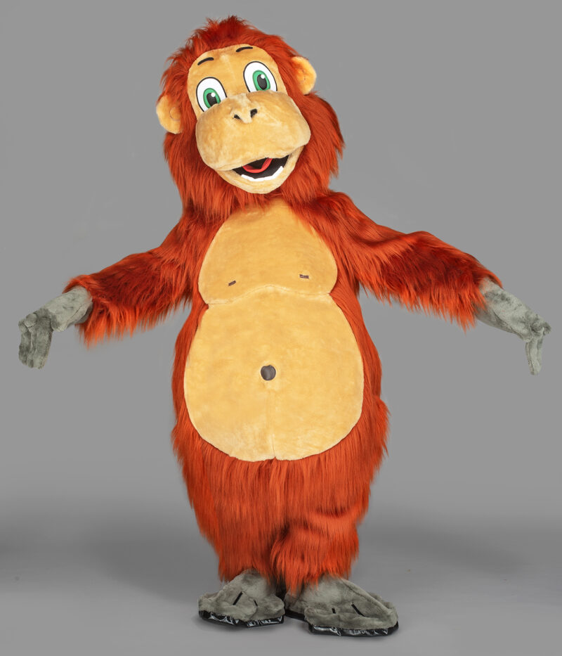 Singe Orang-outan