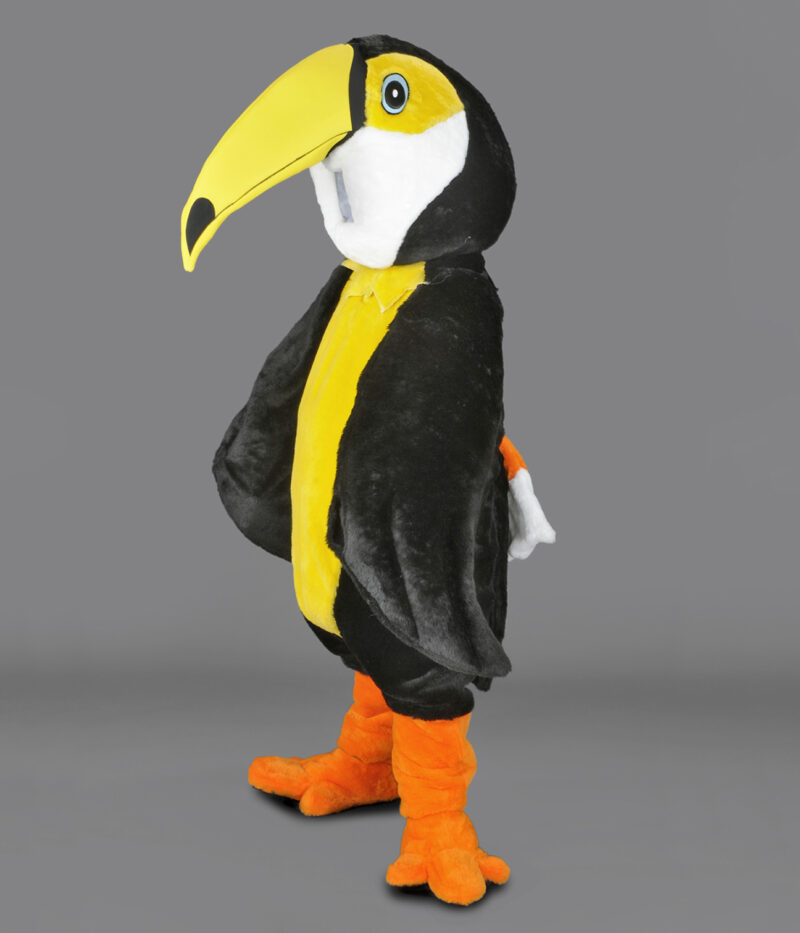 Toucan Rayé